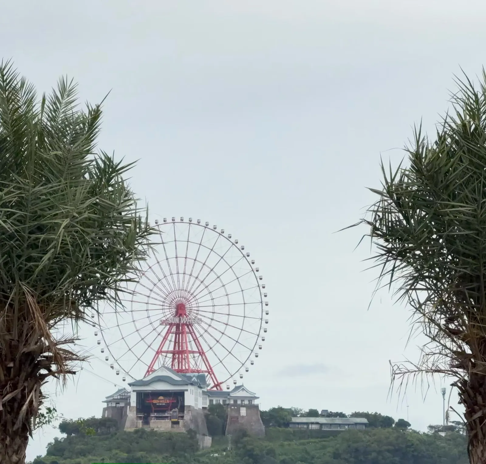 两侧棕榈树之间，远处山顶上的 Sun World 红色摩天轮